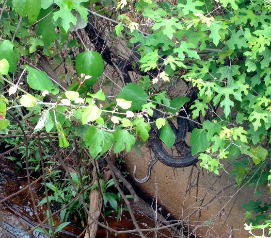 IMG_20170518_110515585