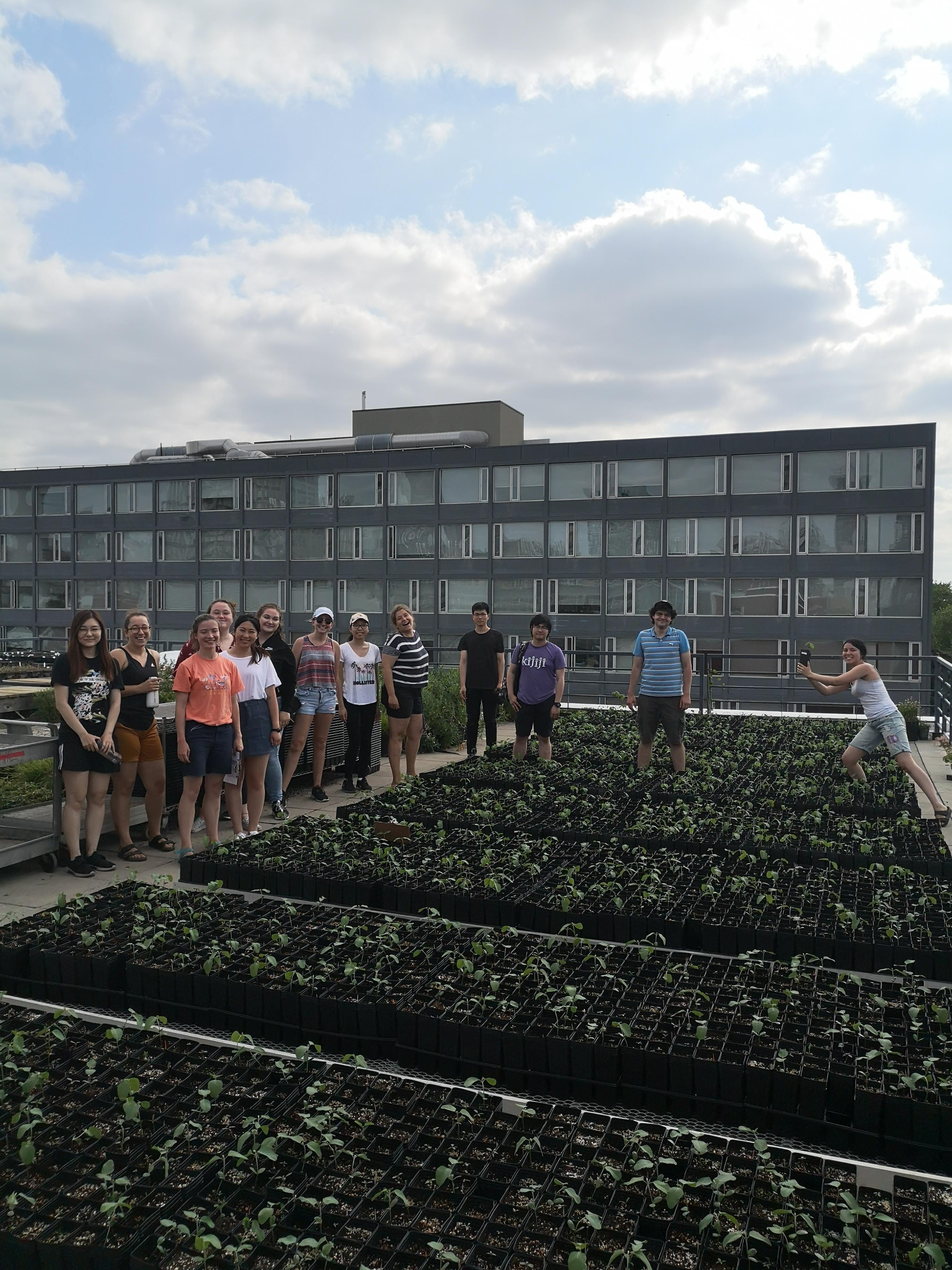 The plant out crew looking accomplished after a full day of moving and randomization!